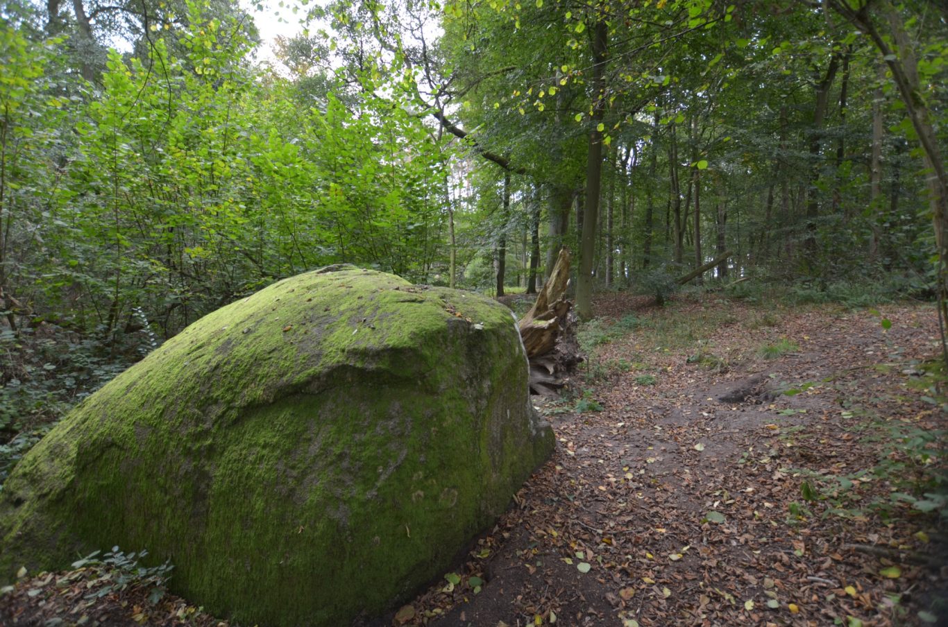 Spätsommer Spätsommer