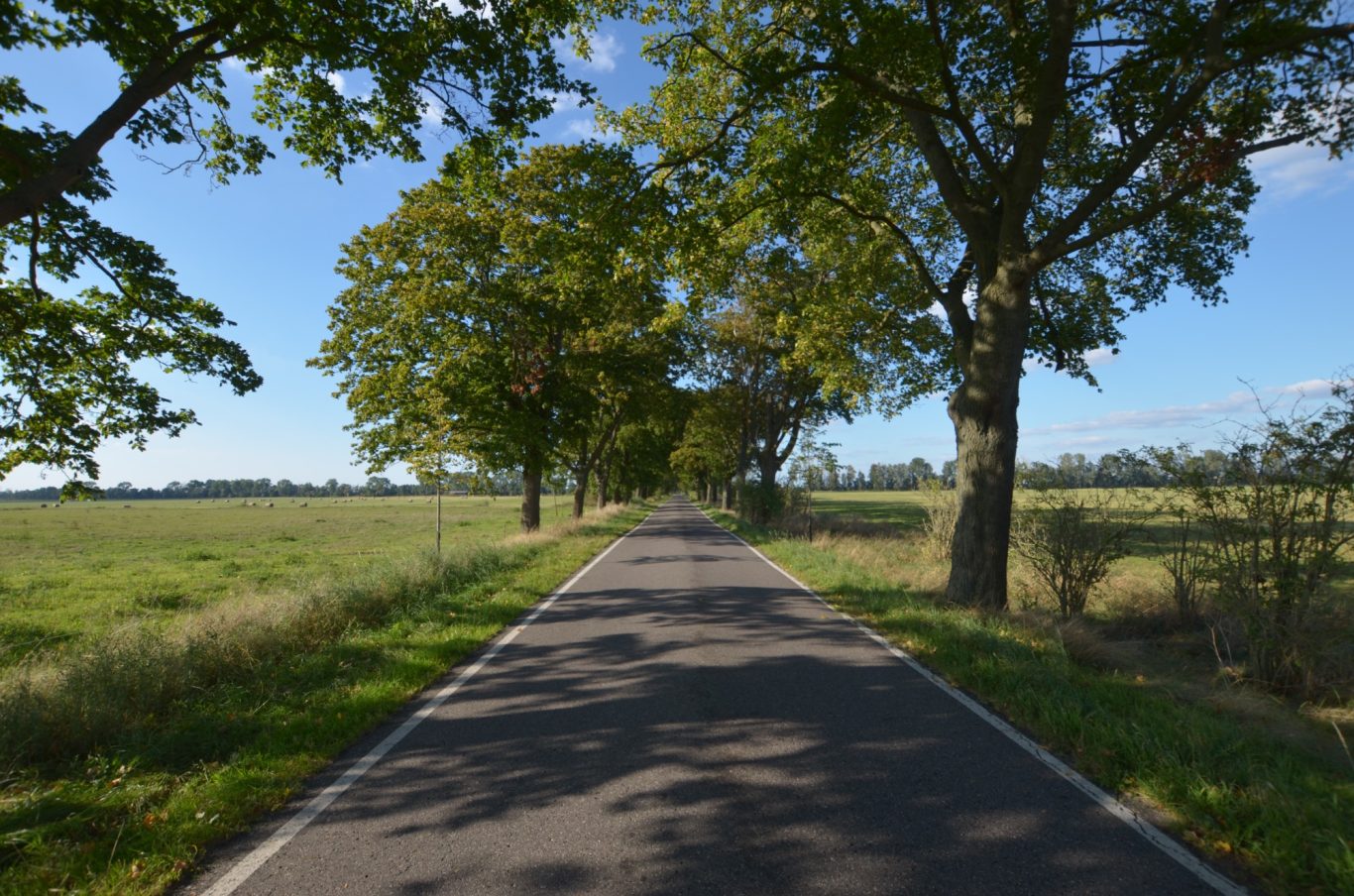 Spätsommer Spätsommer