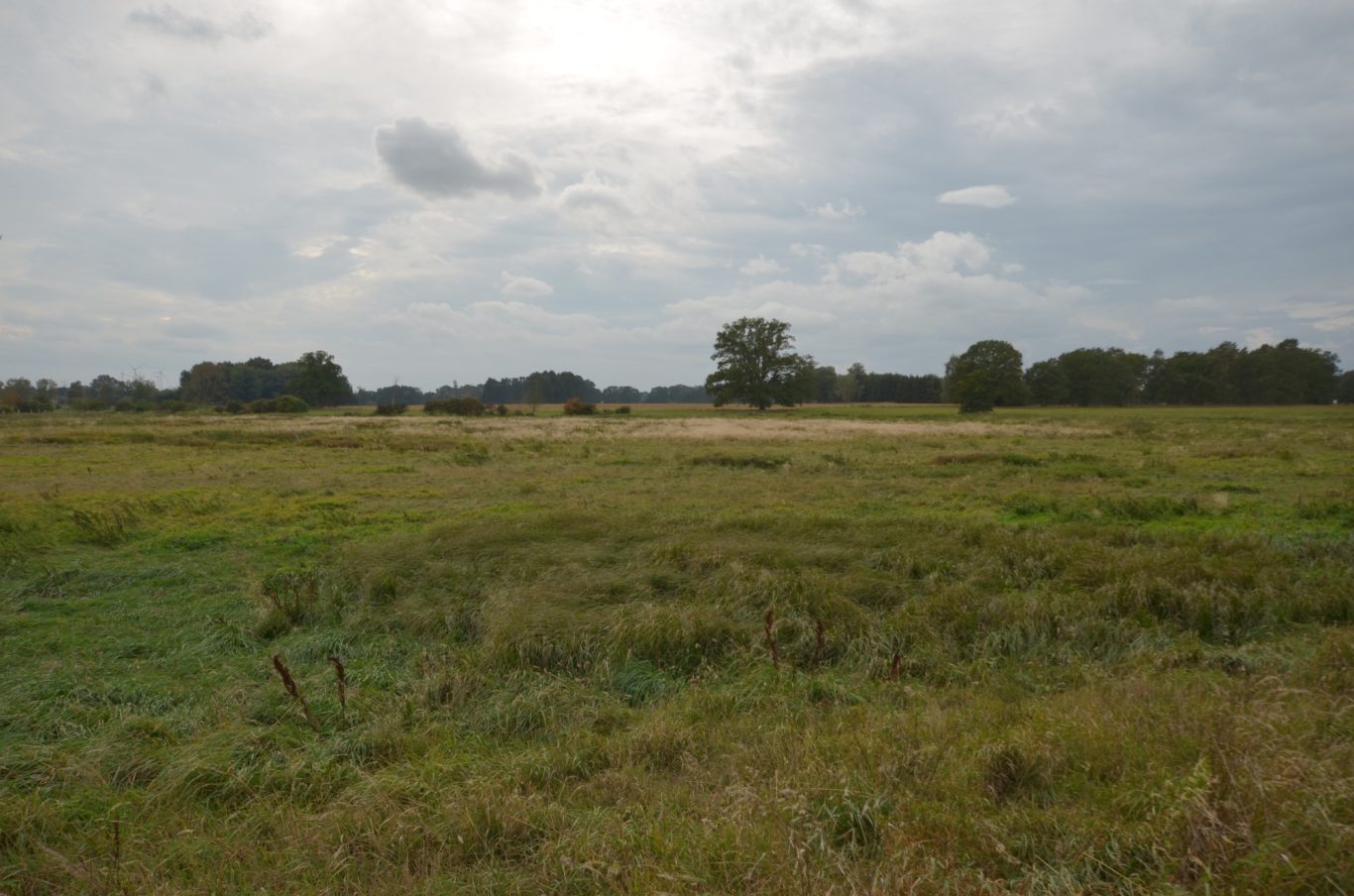 Spätsommer Spätsommer