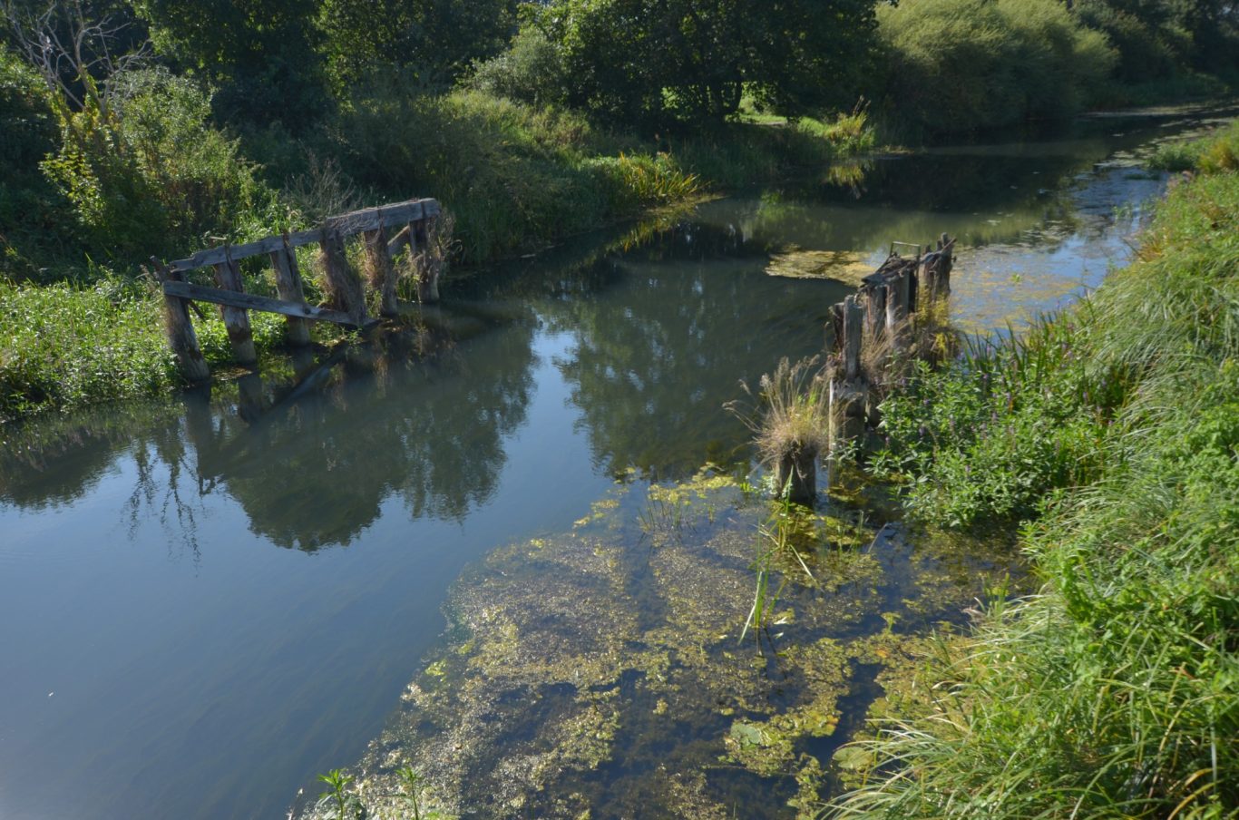 Spätsommer Spätsommer
