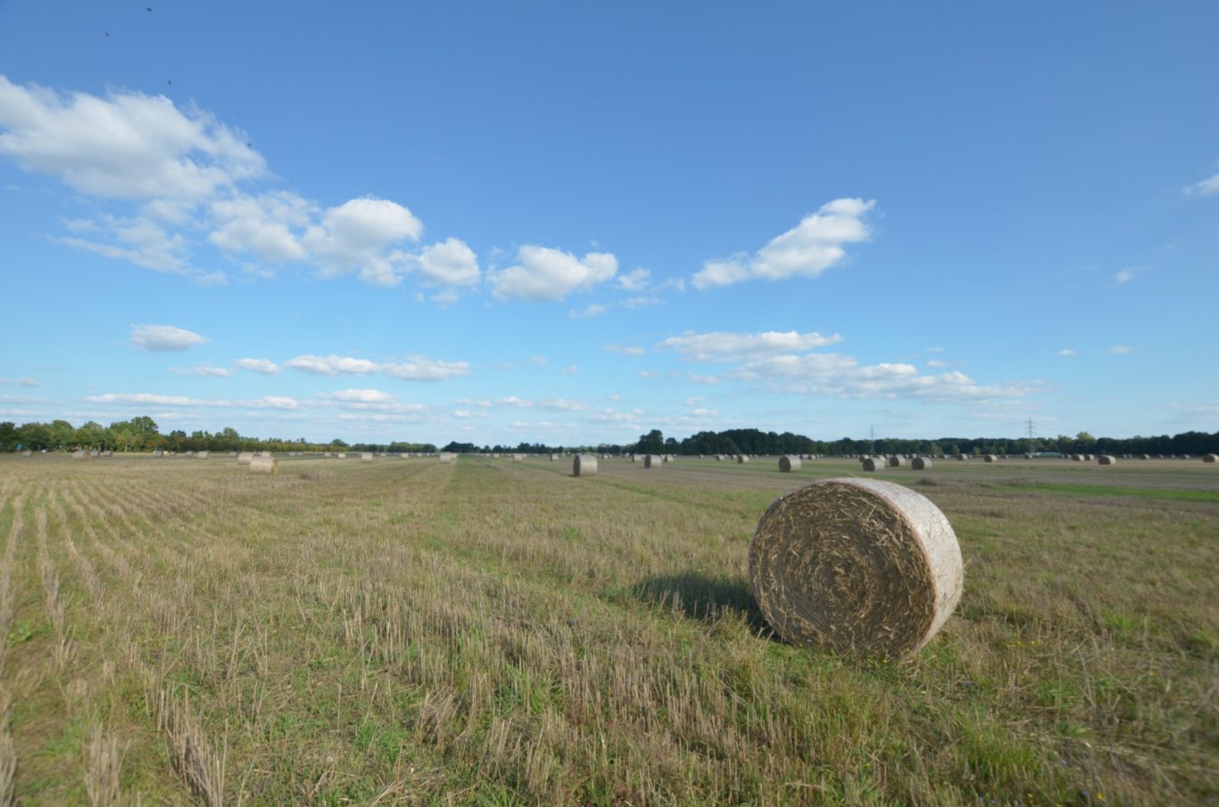 Spätsommer Spätsommer