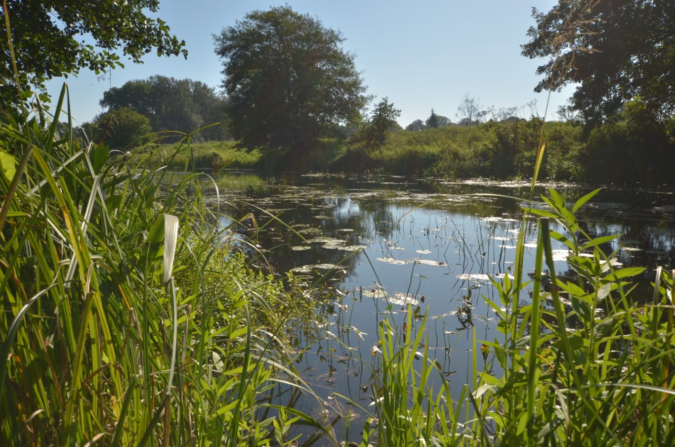 Spätsommer Spätsommer