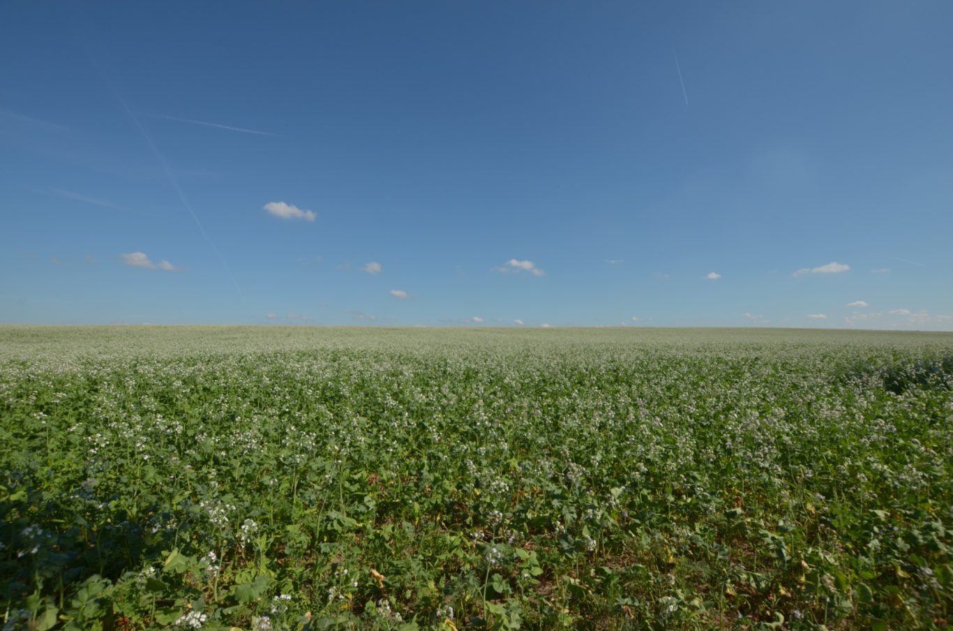 Spätsommer Spätsommer