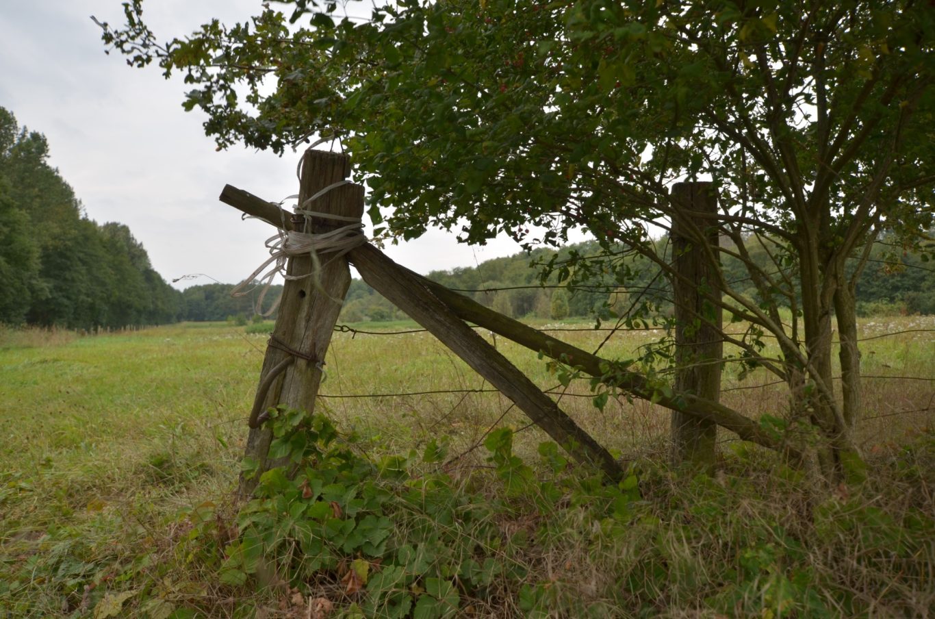 Spätsommer Spätsommer
